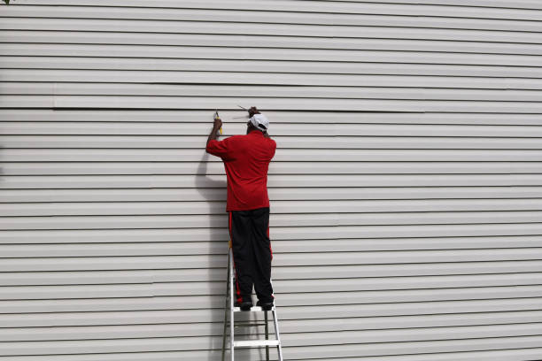 Best Residential Vinyl Siding Installation  in Peoria, AZ