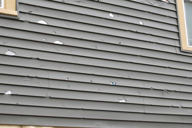 Best Storm Damage Siding Repair  in Peoria, AZ